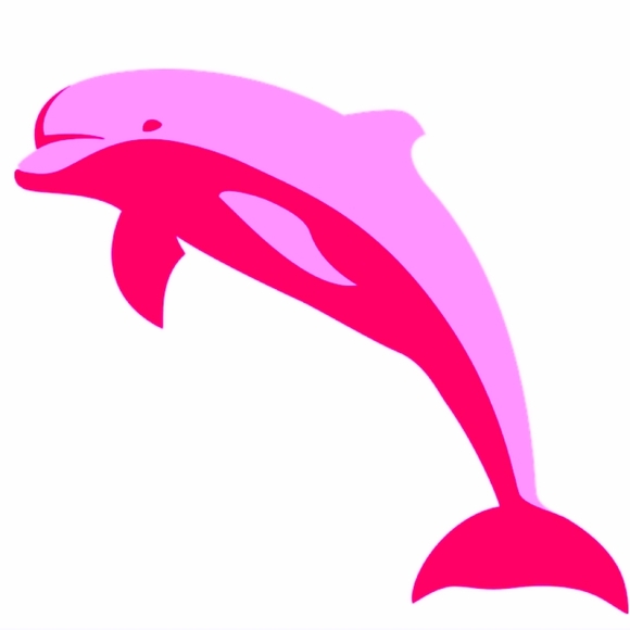 💖Dolphin Shirt🐬 - Picture 7 of 7